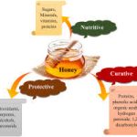 Honey as Medicine: Nature’s Healing Power