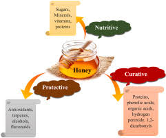Honey as Medicine: Nature’s Healing Power